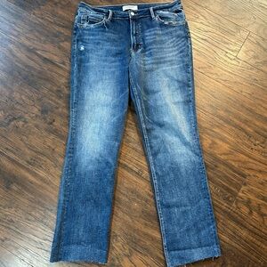 Lovervet by Vervet Jeans Size 32